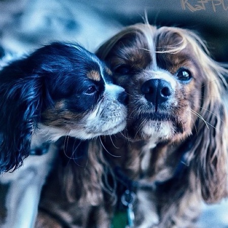 Tommy & Charlie