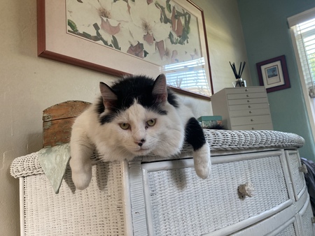 Bubba Rufus