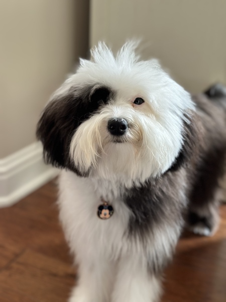 Charlie