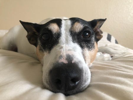 Zoe