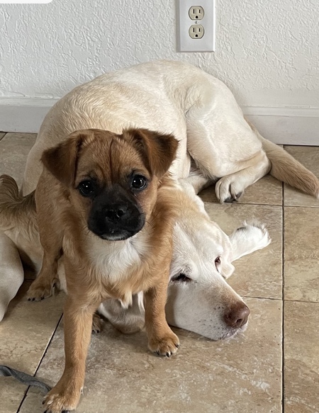 Mia and Annie