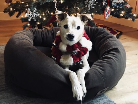 Charlie