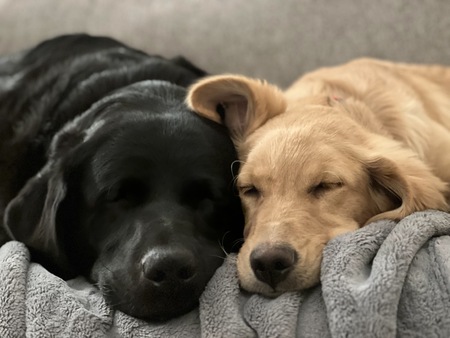 Warner and Piper