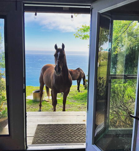 Maui