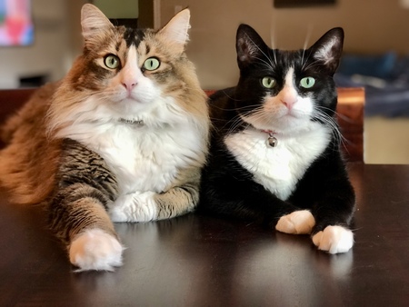 Rafa and Olivia