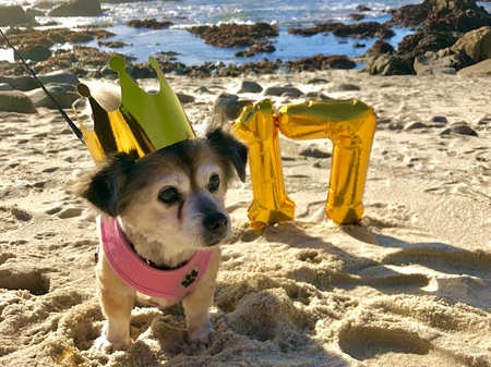 Coco 