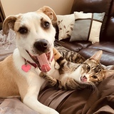 Entry image for Twyla