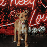 Entry image for December 