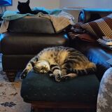 Entry image for Gigi