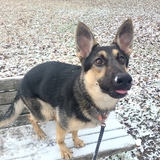 Entry image for Guthrie