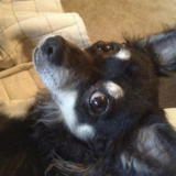 Entry image for Luke