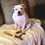 Entry image for Daisy