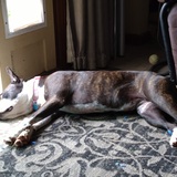 Entry image for Penny