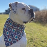 Entry image for Chloe