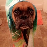 Entry image for Miley