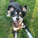 Entry image for Phil