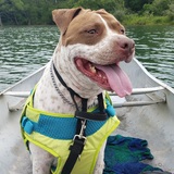 Entry image for Kinjo