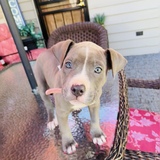 Entry image for Miley❤️