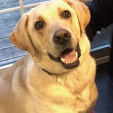 Entry image for Big Henry