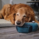 Entry image for Sawyer