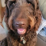 Entry image for Kaizer Hines