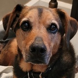 Entry image for Sutton Hines