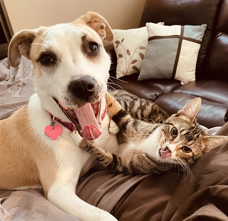 Entry image for Twyla. Clicking this image will show a larger photo