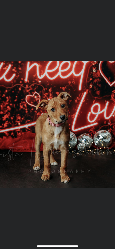 Entry image for December . Clicking this image will show a larger photo