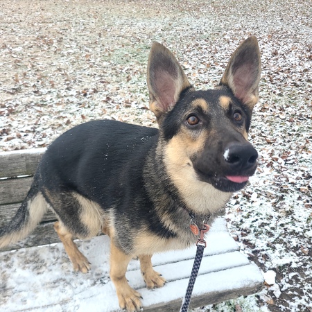 Entry image for Guthrie. Clicking this image will show a larger photo