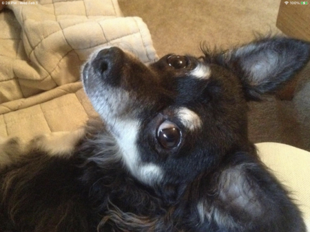 Entry image for Luke. Clicking this image will show a larger photo