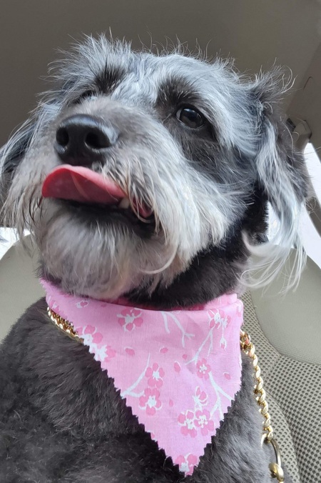 Entry image for Zoe. Clicking this image will show a larger photo