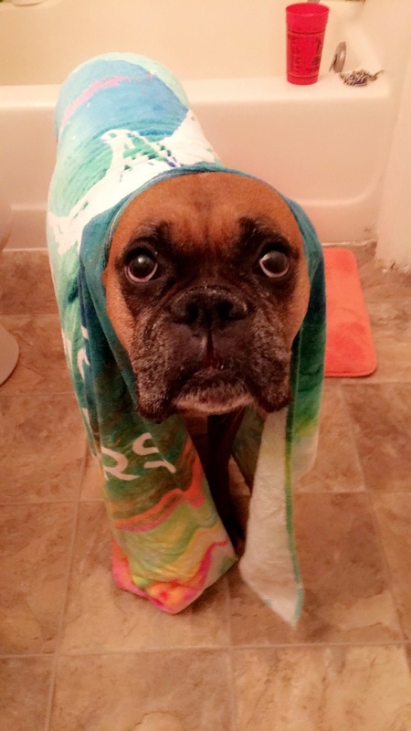 Entry image for Miley. Clicking this image will show a larger photo