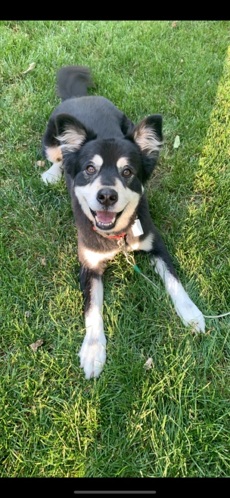 Entry image for Phil. Clicking this image will show a larger photo