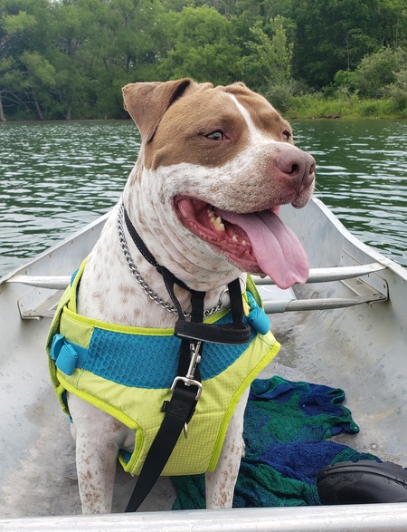 Entry image for Kinjo. Clicking this image will show a larger photo