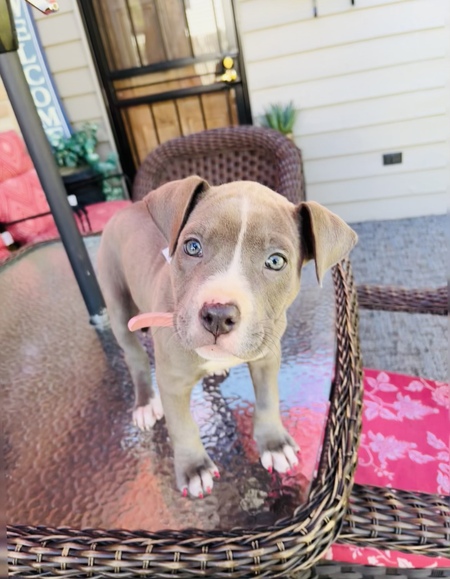 Entry image for Miley❤️. Clicking this image will show a larger photo