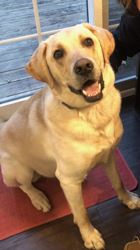 Entry image for Big Henry. Clicking this image will show a larger photo