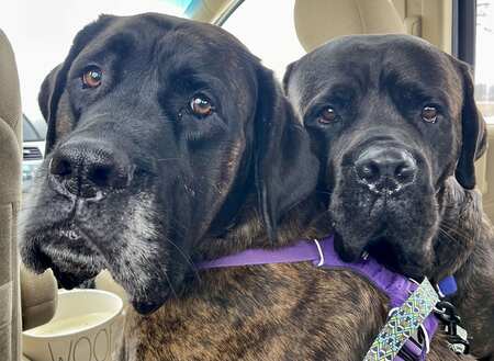 Entry image for Bronwyn and Cricket. Clicking this image will show a larger photo