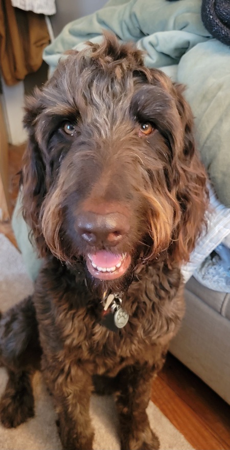 Entry image for Kaizer Hines. Clicking this image will show a larger photo