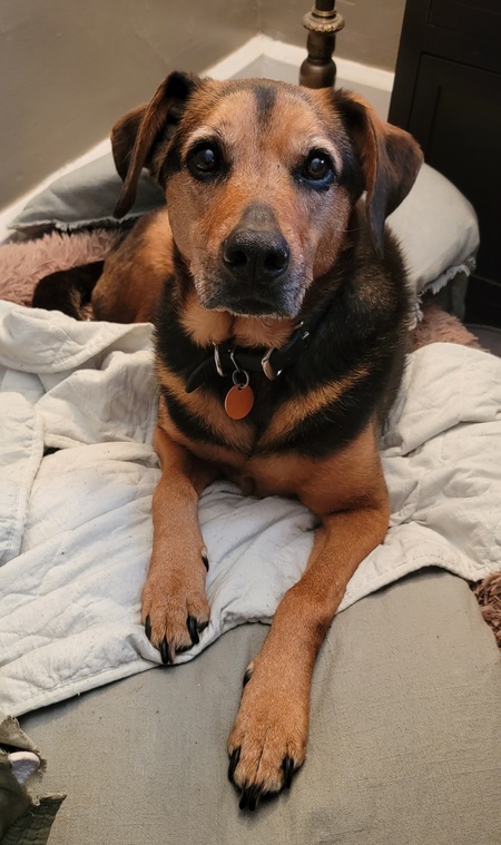 Entry image for Sutton Hines. Clicking this image will show a larger photo