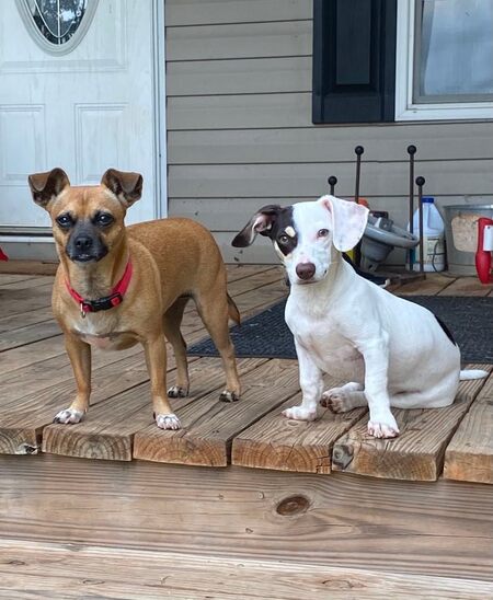 Robin & Oakley 