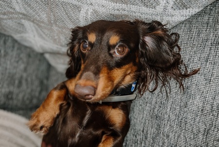 Penny