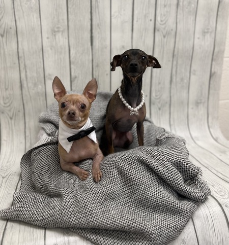 Stella and Coco