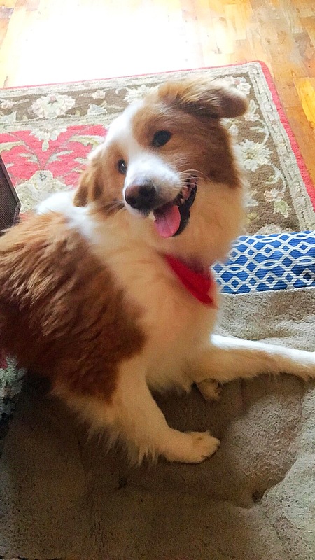 Charlie