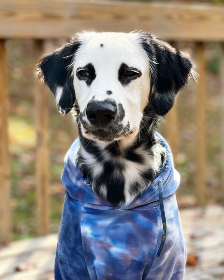 Ryder