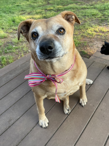 Peggy