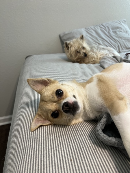 Fred and Ethel