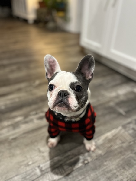 Millie