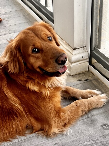 Charlie