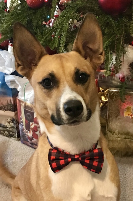 Phineas