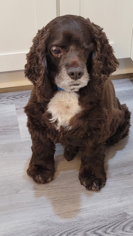 Frankie